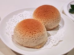 雪顶雄峰-利苑酒家(金宝店)