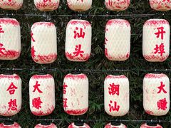 -阿娟牛肉丸·手打牛肉丸·现做现卖