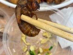 -龙小海荆沙鸽子店(瑞安街店)