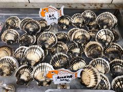 -渔民船说·北塘海鲜·天津菜·海肠捞饭(北塘古镇店)