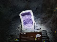 -正佳自然科学博物馆