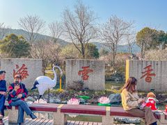 -香雪海