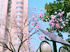 -番禺绿地公园