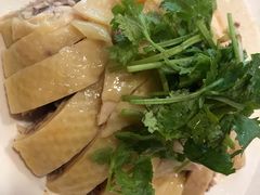 -振鼎鸡(福州路店)