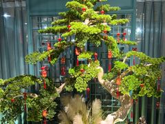-渝乡辣婆婆·川菜 水煮鱼(中山西路店)