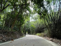 -东莞市大岭山森林公园