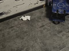 -剧狐剧本杀(徐汇1号店)