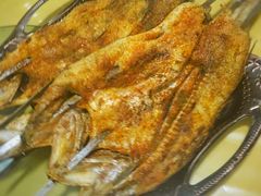 -新疆风味冷水鱼庄(友谊峰路店)