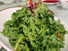 凉拌茼蒿-潮福城大酒楼·潮味粤品·港式点心(湖滨北路店)