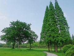 -宜兴龙背山森林公园