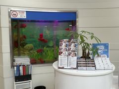 -雅悦齿科(顾村公园店)