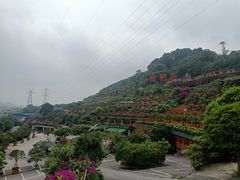 -枇杷园食为鲜火锅(南山店)