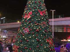 -棒约翰比萨·意面(金桥国际店)