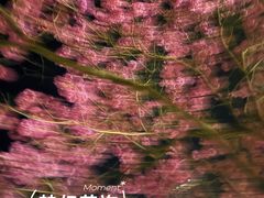 -天河体育中心