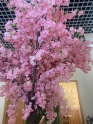-久匠·纹眉纹绣半永久