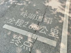 -海珠湖公园