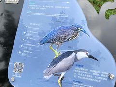 -海珠湖公园