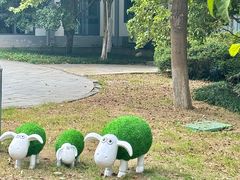 -金鸡湖桃花岛