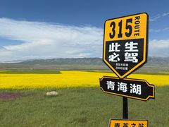 -青海湖国家重点风景名胜区