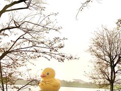 -深圳人才公园