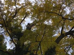 -无锡惠山寺