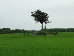 -嘉北郊野公园