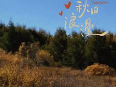 -苏木山森林公园