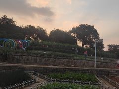 -天河儿童公园