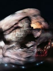 -翱翔飞越地平线