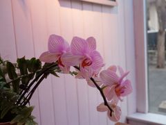 -北平花园·MUA摩造汉堡·北平咖啡(南锣鼓巷胡同店)