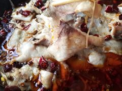 -金三可市井水煮鱼(金碧园店)