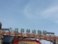 -大连森林动物园