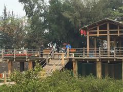 -北海金海湾红树林生态旅游区