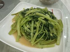 -姚林轩