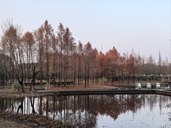 -长广溪湿地公园