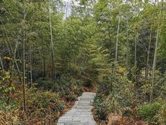 -塔川景区