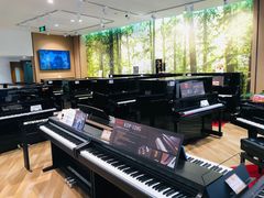 -柏斯琴行(汾阳店)