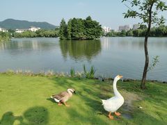 -浙江农林大学(东湖校区)