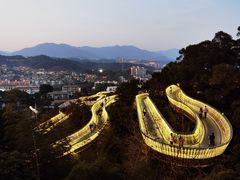 -福道