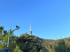 -梧桐山风景名胜区