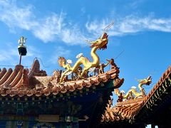 -大召无量寺