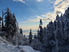 -瓦屋山景区
