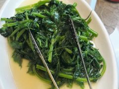 豌豆尖-毛草房(南辛庄街店)