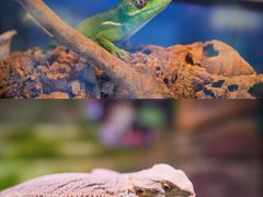 -正佳雨林生态植物园