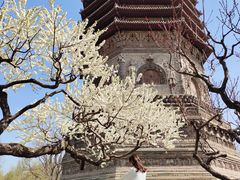 -玲珑塔公园