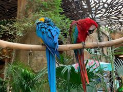 -杭州开元森泊度假乐园