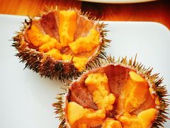 -海胆小馆(东北水饺·春柳店)