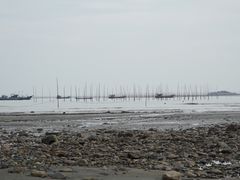 -小皓村