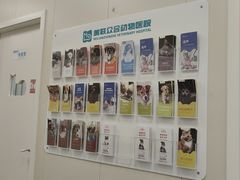 -美联众合爱康动物医院•复杂内科•肿瘤科•牙科•腔镜诊疗中心