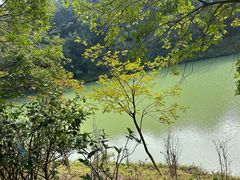 -广州白江湖森林公园